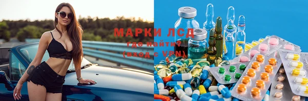 прущие грибы Богородск