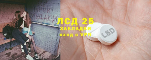 прущие грибы Богородск