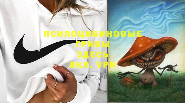 мескалин Богородицк