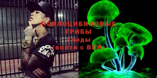 мескалин Богородицк